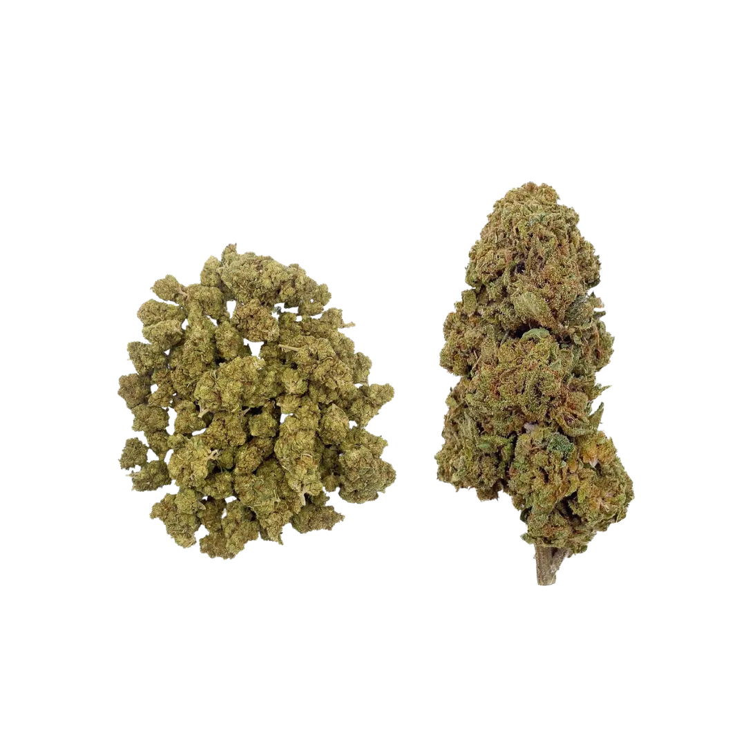 Coffret Découverte Fleurs CBD SaBulle avec 3 g de Limoncello 18 % CBD et 3 g de Gelato 16 % CBD