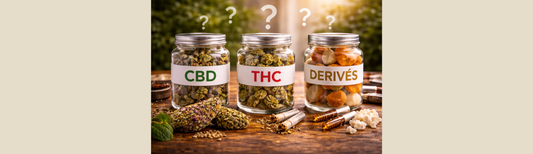 CBD, THC, dérivés : pourquoi la confusion persiste et comment s’y retrouver