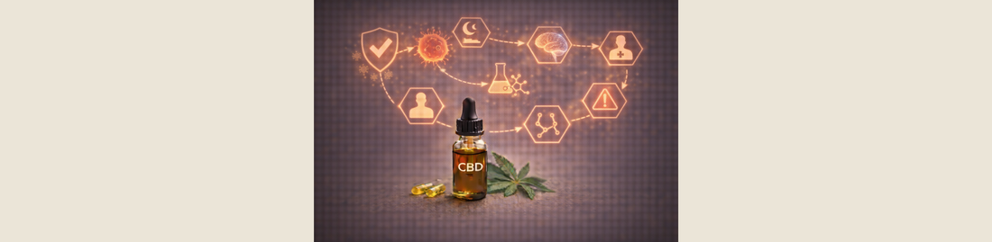 CBD : avons-nous fait le tour ? Ce que l’on sait vraiment (et ce que l’on ne sait pas)