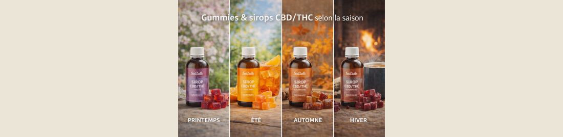 Gummies et sirops CBD/THC : quand et comment les consommer selon la saison