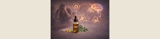 Fatigue mentale : le CBD peut-il aider à retrouver de la clarté ?