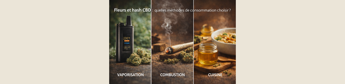 Fleurs et hash CBD : quelles méthodes de consommation choisir ?