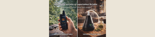 Vaporisateur portable ou vaporisateur de table : comment choisir selon son usage ?
