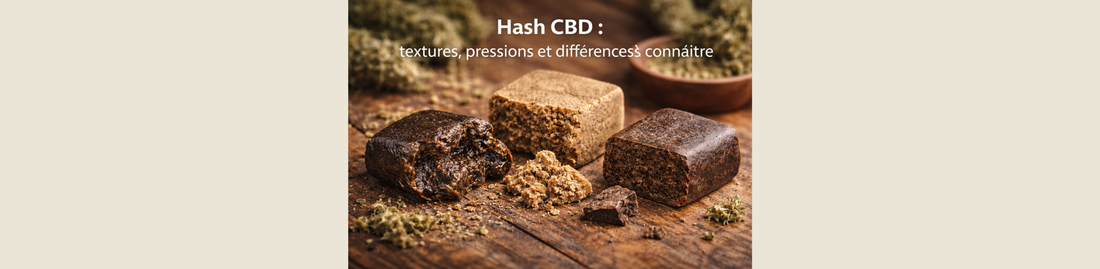 Hash CBD : textures, pressions et différences à connaître