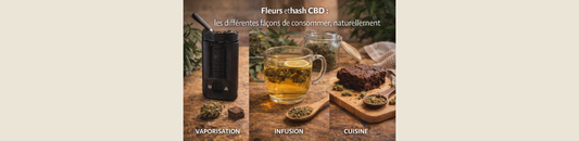 Fleurs et hash CBD : les différentes façons de consommer, naturellement