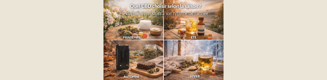Quel CBD choisir selon la saison ? Adapter ses produits à son rythme de l’année