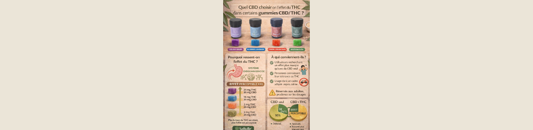 Pourquoi ressent-on l’effet du THC dans certains gummies CBD/THC et à qui ils conviennent