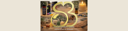 SaBulle aujourd’hui et demain : panorama des catégories produits et des développements en cours