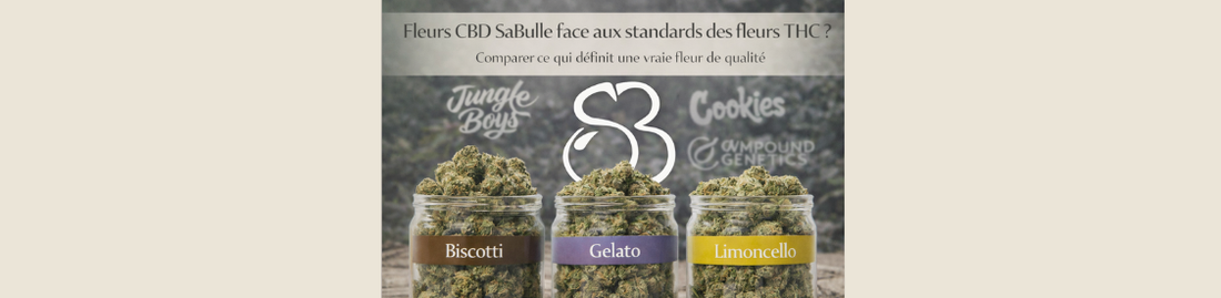 Fleurs CBD SaBulle face aux standards des fleurs THC