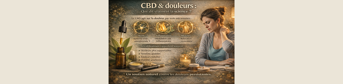 CBD & douleurs : que dit vraiment la science ?