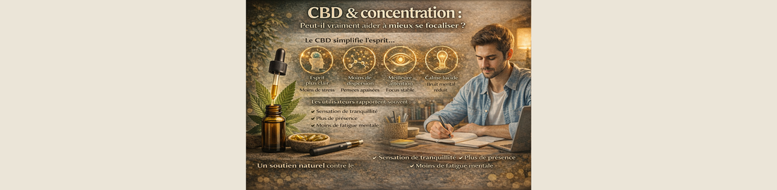 CBD & concentration : peut-il vraiment aider à mieux se focaliser ?
