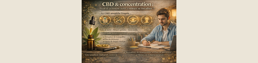 CBD & concentration : peut-il vraiment aider à mieux se focaliser ?