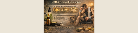 CBD & récupération sportive : un allié naturel pour le corps ?