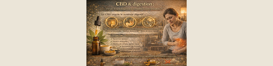 CBD & digestion : peut-il soulager les troubles intestinaux ?