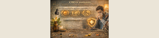 CBD & immunité : peut-il renforcer les défenses naturelles ?