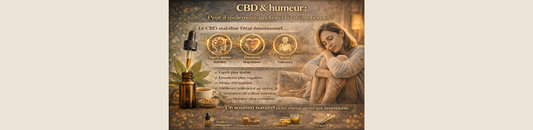 CBD & humeur : peut-il réellement améliorer l’état émotionnel ?
