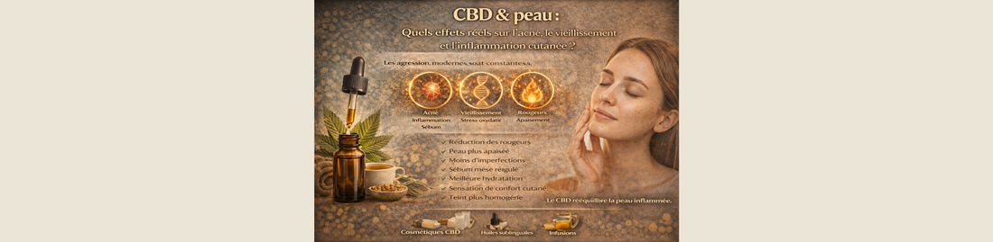 CBD & peau : quels effets réels sur l’acné, le vieillissement et l’inflammation cutanée ?