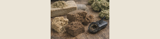 Hash CBD : textures, méthodes artisanales et différences visuelles