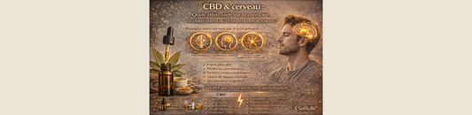 CBD & cerveau : quels effets réels sur la mémoire, la clarté mentale et la neuroprotection ?