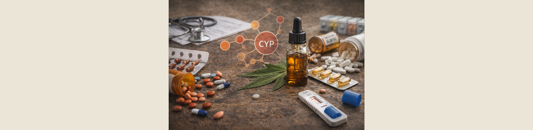 CBD et médicaments : y a-t-il des interactions à connaître ?