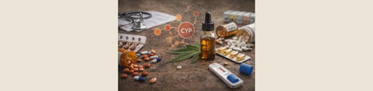 CBD et médicaments : y a-t-il des interactions à connaître ?