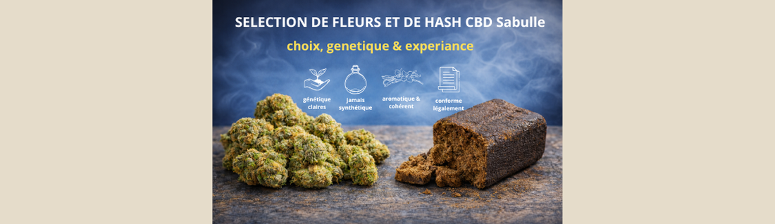 Sélection de fleurs et de hash CBD SaBulle : choix, génétiques & expériences