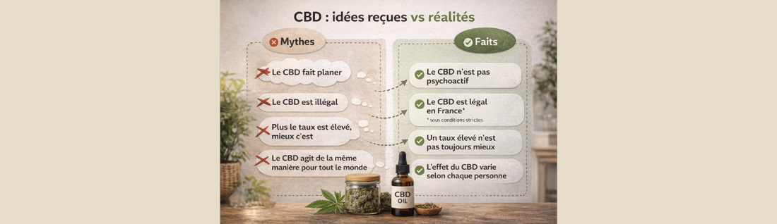CBD : les idées reçues les plus courantes (et pourquoi elles persistent)