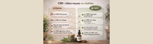 CBD : les idées reçues les plus courantes (et pourquoi elles persistent)