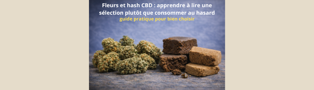 Fleurs et hash CBD : apprendre à lire une sélection plutôt que consommer au hasard