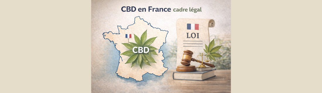CBD en France : ce qui est autorisé, ce qui est interdit, ce qui évolue