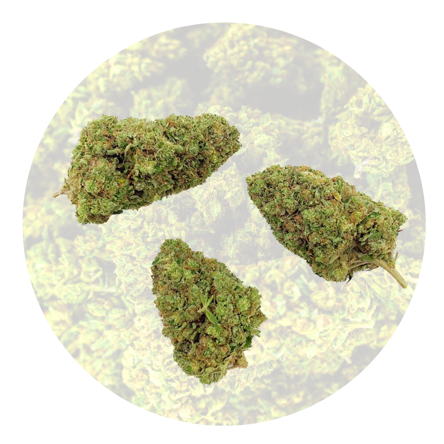 SELECTION DE FLEURS CBD