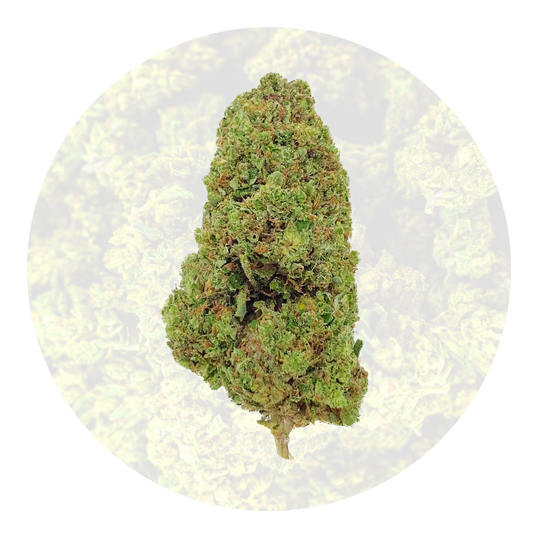 La Biscotti 15% CBD ~ SABULLE SELECTION ~