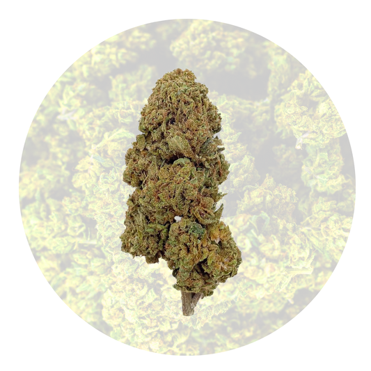 Gelato - Fleur 16% CBD
