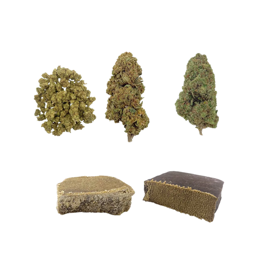 Coffret Signature CBD SaBulle avec 3 g de Biscotti, 3 g de Limoncello, 3 g de Gelato, 3 g de Golden et 3 g de 3X Filtré