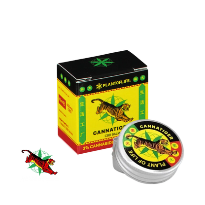 Baume Massage CBD – Chaleur Active - Rituel - SaBulle